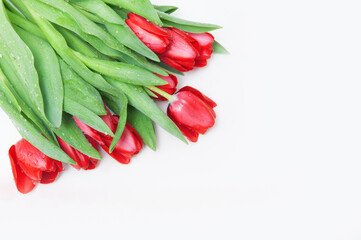 Abstract background with flowers tulips