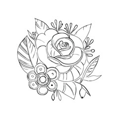 Beautiful Roses Flower Coloring book, line art vector. © SOHAN-Creation