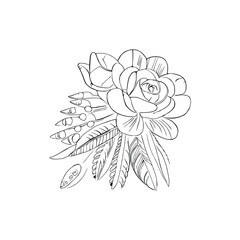 Beautiful Roses Flower Coloring book, line art vector.