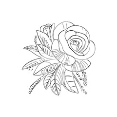 Beautiful Roses Flower Coloring book, line art vector.