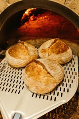 Vertical shot of the fresh baked crusty bread being taken off from the hot oven with the peel