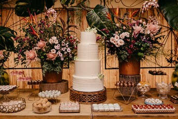 Wooden table with lots of plants, a cake and fresh sweets