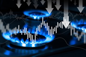 Blue gas burners with fire and price concept chart