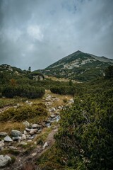 Vertical shot of big mountains covered in forests under the cloudy sky during the daytime