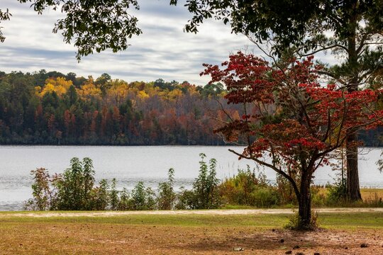 Scenic view of lake against autumn trees at Cheraw State Park in Chesterfield County, South Carolina