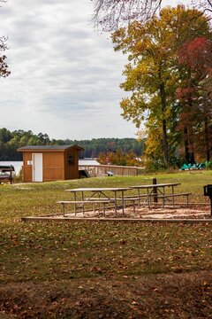 Vertical of an alcove at a lake against trees at Cheraw State Park in Chesterfield County