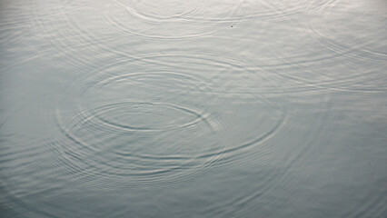 Ondas circulares en superficie de lago