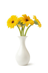 yellow daisies on white background