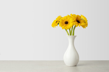 yellow daisies on white background