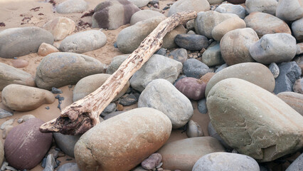 Piedras y tronco en playa
