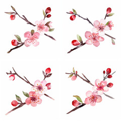 Naklejka premium 梅の水彩イラスト