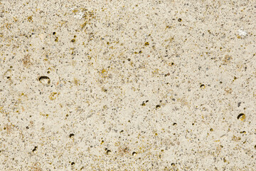 Exterior concrete wall texture for background. Cement and lichen surface
