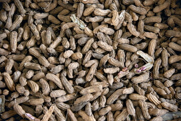 Close up peanut in a shell texture. food background of peanuts
