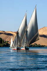 Obraz premium Feluccas - traditional egyptian boat - on Nile river, Egypt.