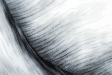Charcoal monochromatic compositions, Abstract watercolor style, light white and dark gray watercolor