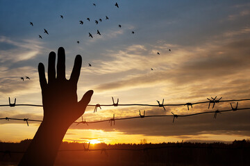 Holocaust Remembrance Day. Silhouette of hand with barbed wire on background of sunset with flying...