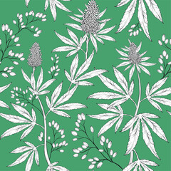 Hand drawn cannabis leaves seamless pattern with green background