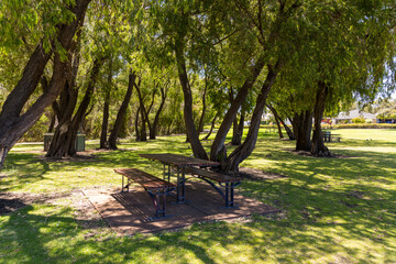 Shady seating area and BBQ at Lakes Park Dalyellup, Western Australia