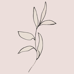 Wall art vector. Foliage line art drawing with abstract shape. Abstract Plant Art design for print, cover, wallpaper, Minimal and natural wall art. Vector illustration.