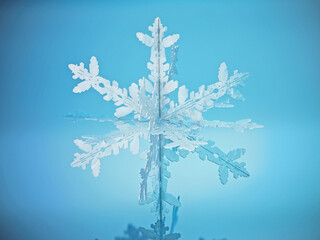 Snowflake standing on blue reflective surface. 3D illustration