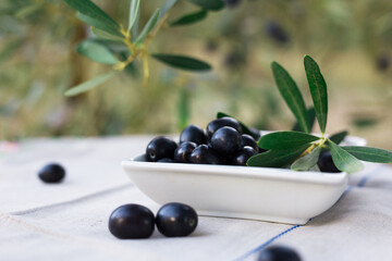 still life of olives on table against background of olive trees