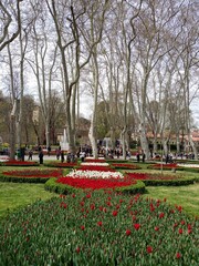 Obraz premium park in the park