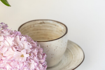  Flower background to design key visual layout. Pink blooming hyacinth flower on a plate on white background, Spring coffee mood. , Copy space for product display, mock up.