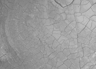 The structure of cracked wet earth at the bottom of the lake, creating irregular patterns, structure, background. Amazing shapes created by nature at the bottom of a lake where there is no water