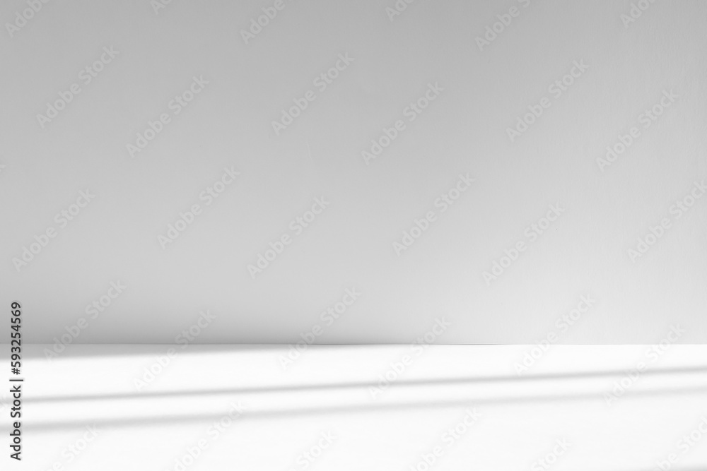 Poster Abstract white studio background with shadows of window. Empty 3d room. Display product with blurred backdrop.