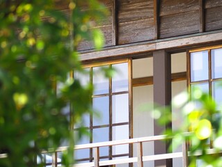 新緑越しのレトロな窓