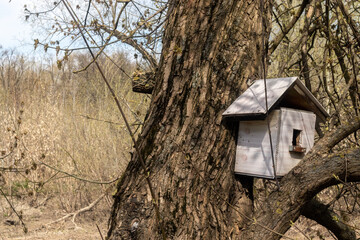 Birdhouse on a birch trunk in the park. In autumn, a birdhouse hangs on a tree in the park. Triangular birdhouse in the forest. Lonely birdhouse on a tree in the autumn forest.