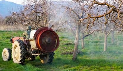 Tractor with atomizer sprayer spraying pesticides on apple trees - 593257580