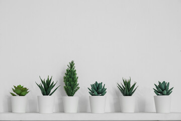 Shelf with artificial plants on light wall