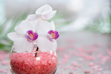 Pink orchid in a vase with pink sea salt close-up. Spa and wellness concept