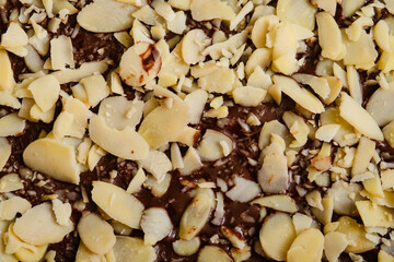 Sliced almonds in chocolate