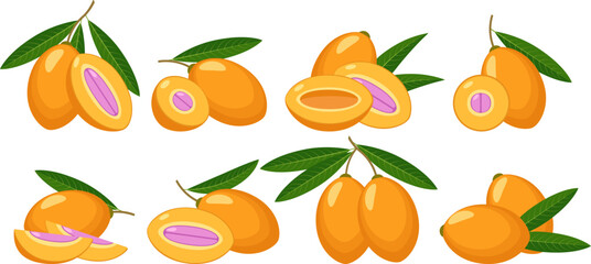 Marian plum fruits