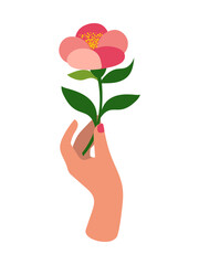 Woman's hand with a beautiful delicate pink flower, raised up, isolated on white. Maiden power. The concept of feminism. The flowering of feminine energy. 