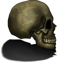 Skull drawing design High Resolution Illustration