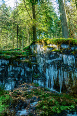 Frühlingswanderung im Bayrischen Wald vom Großen Arbersee zum Großen Arber Gipfel - Bayern - Deutschland