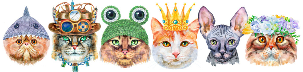 Cute cats. Cat for t-shirt graphics. Watercolor cats illustration. Watercolor hand drawn illustration