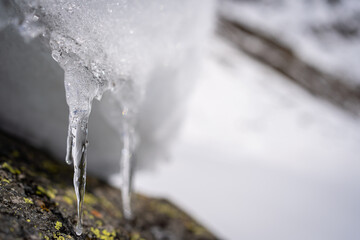 Icicles on stones in the mountains 