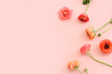 Top view image of pink flowers composition over pastel background