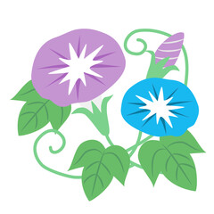 青い朝顔のイラスト