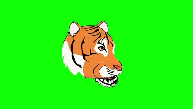 Tiger's head head turn