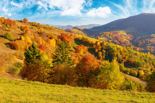 beautiful view of stunnng mountain scenery. wonderful landscape with hills, meadow and forest if fall foliage. idyllic nature landscape on a sunny day