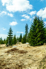 Fr&uuml;hlingswanderung im Bayrischen Wald vom Gro&szlig;en Arbersee zum Gro&szlig;en Arber Gipfel - Bayern - Deutschland