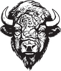 American bison, American bison head, Buffalo Vector  illustration, SVG