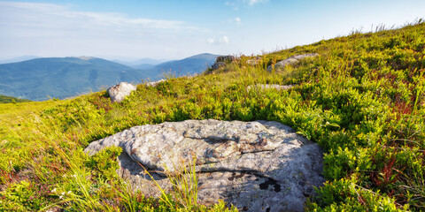 mountainous countryside scenery in summer. nature landscape with boulders on the grassy hillsides. journey to the highlands on a sunny weather