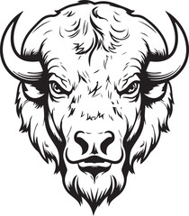 American bison, American bison head, Buffalo Vector  illustration, SVG © Dmytro