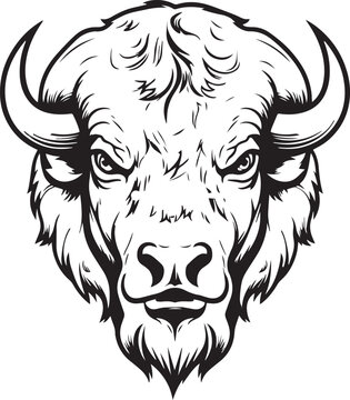 American Bison, American Bison Head, Buffalo Vector  Illustration, SVG